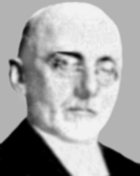 Бржезіна